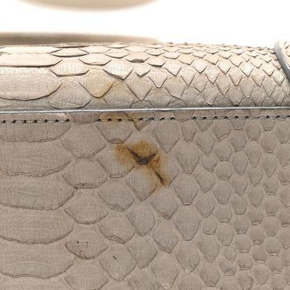Celine Snakeskin Nano Luggage Grey 11 of 11
