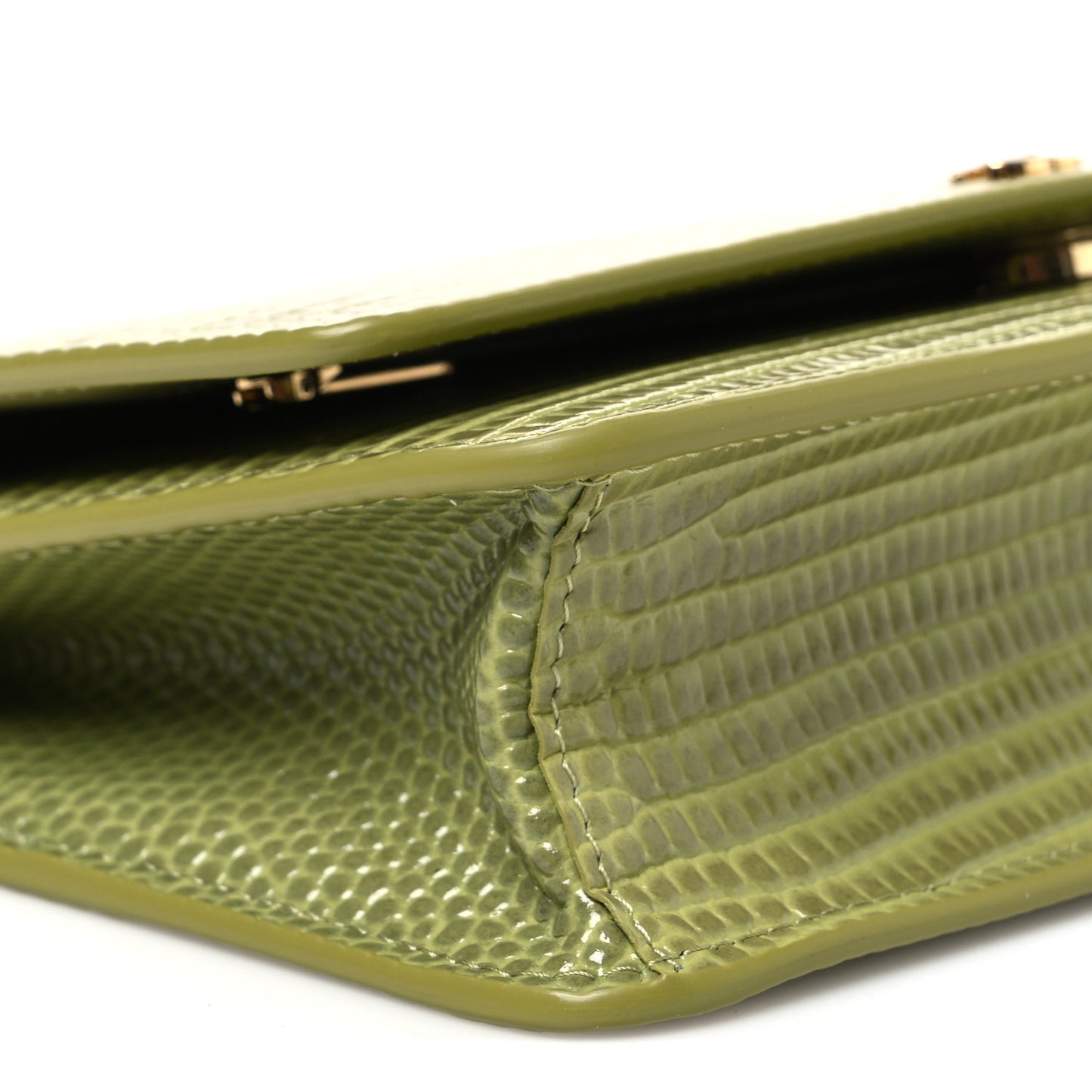 Shiny Lizard Wallet on Chain WOC Green