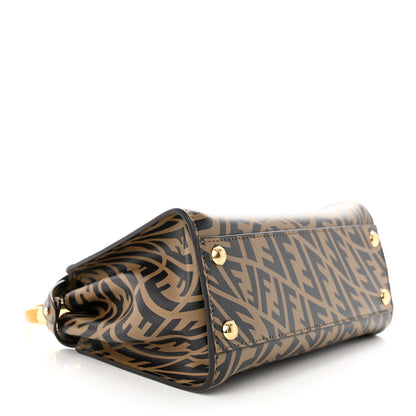 Fendi X SARAH COLEMAN Vitello Liberty Shiny Nappa Plexiglass FF Vertigo Mini Peekaboo Iconic Satchel 4 of 11