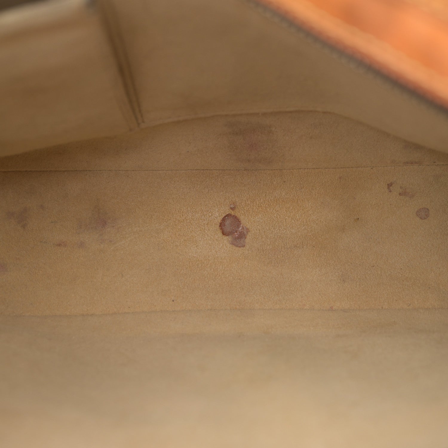 Louis Vuitton Monogram Hudson GM 5 of 15