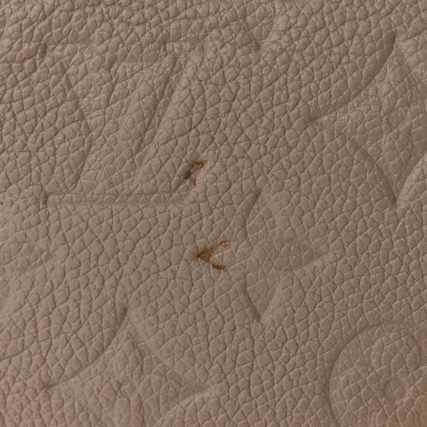 Empreinte Montsouris PM Tourterelle