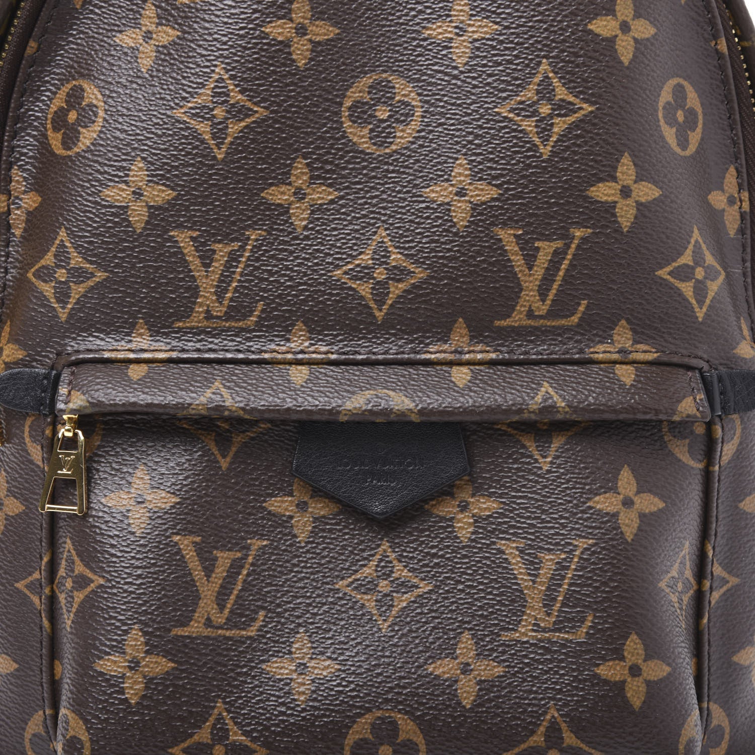 Louis Vuitton Monogram Palm Springs Backpack PM 9 of 11
