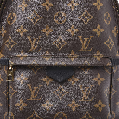 Louis Vuitton Monogram Palm Springs Backpack PM 9 of 11