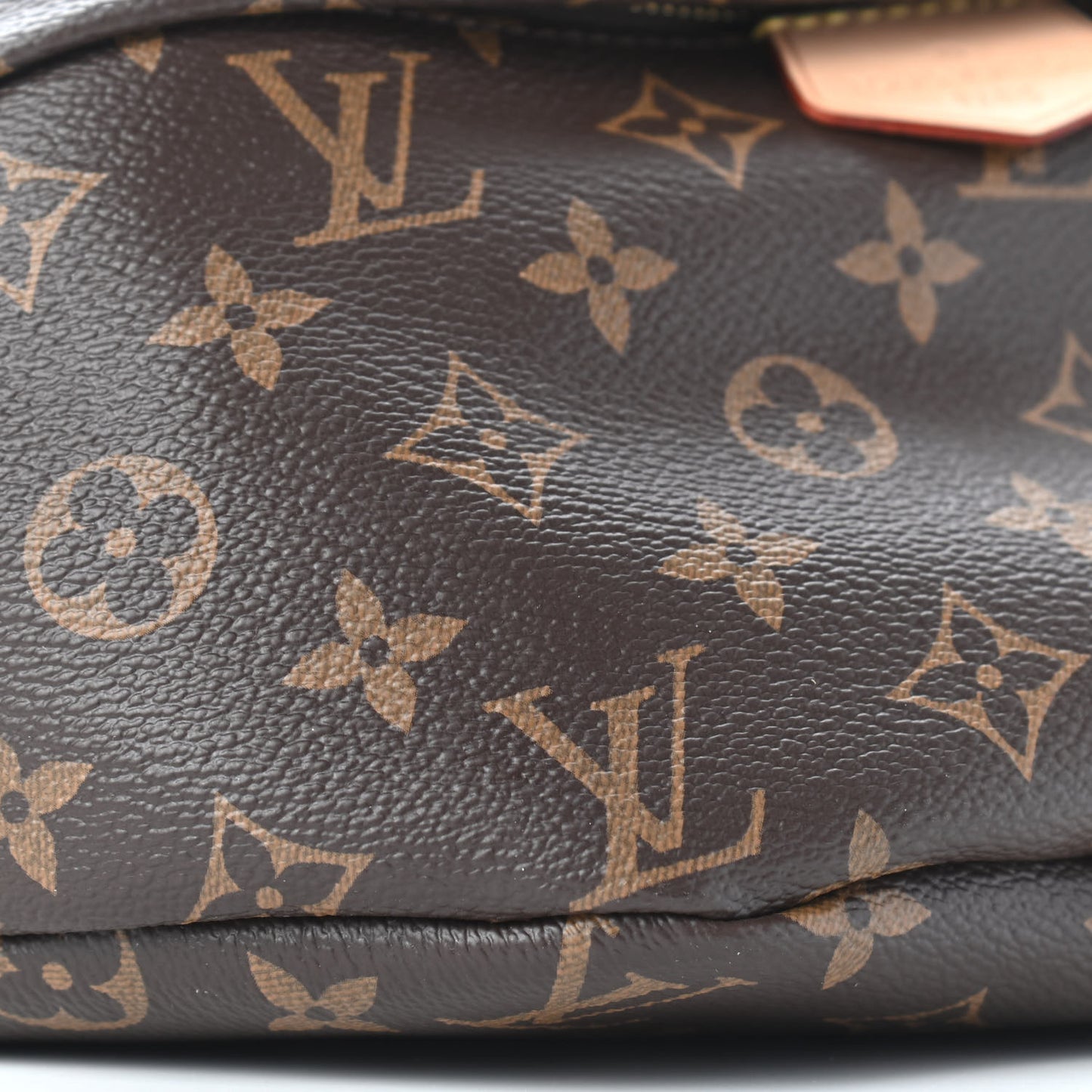 Monogram Bumbag
