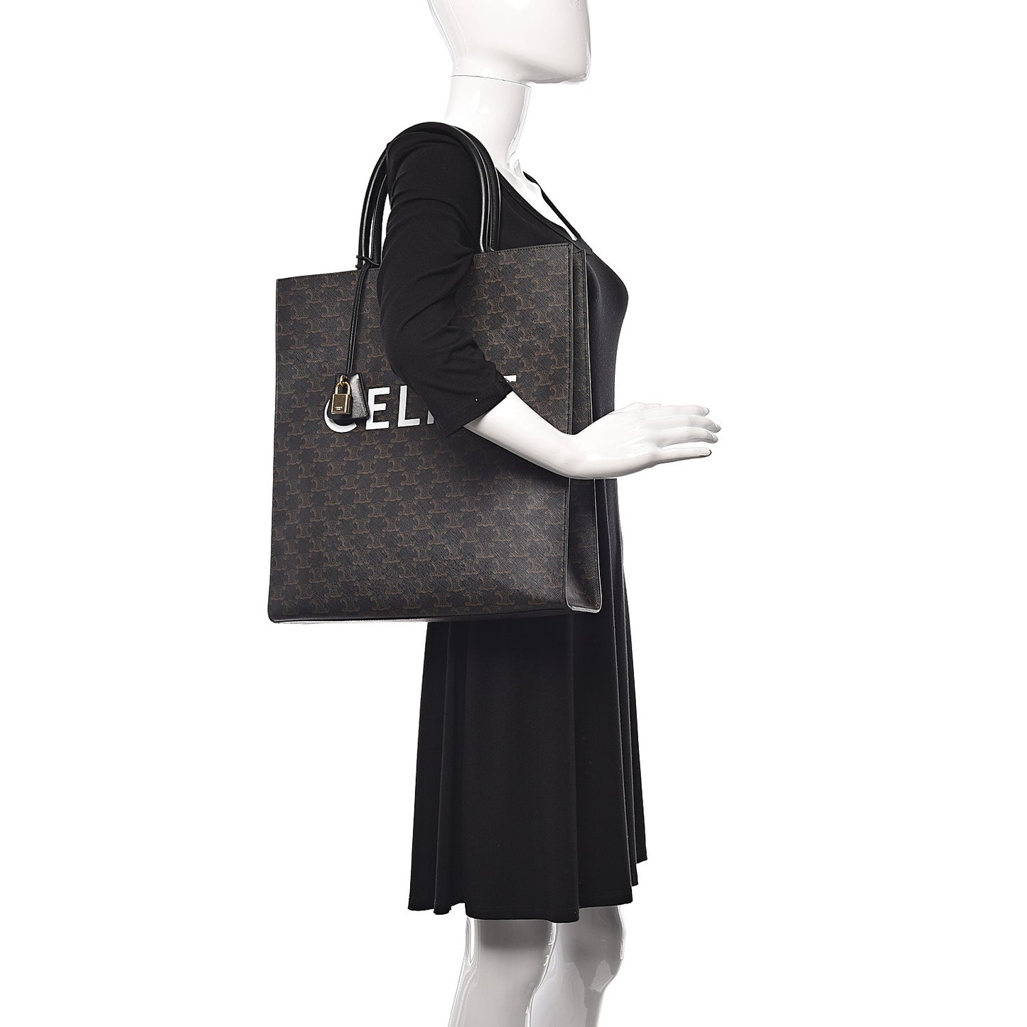 Triomphe Canvas Calfskin Large Vertical Cabas Black