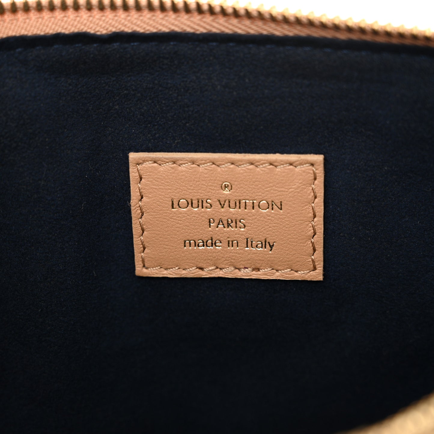 Lambskin Embossed Monogram Coussin PM Camel