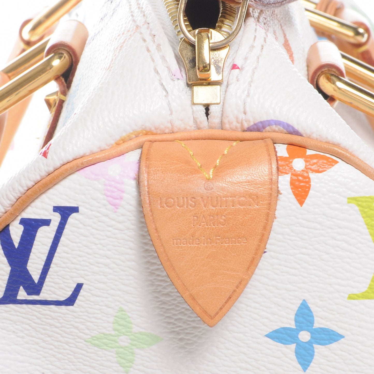 Monogram Multicolor Speedy 30 White