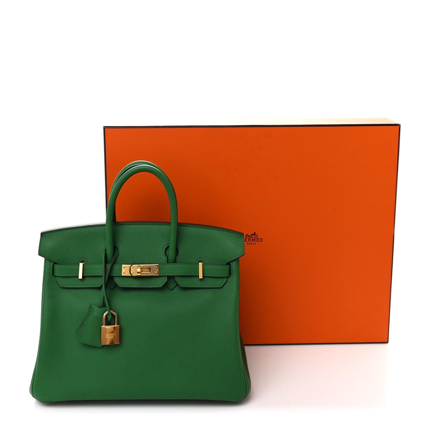Swift Birkin 25 Cactus