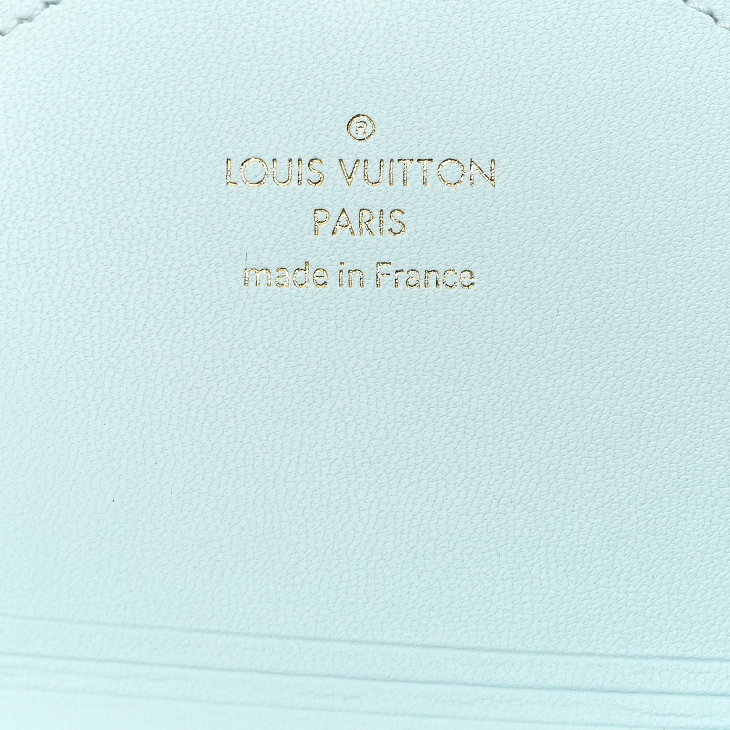 Monogram Giant By The Pool Medium Kirigami Pochette Insert Blue Mist