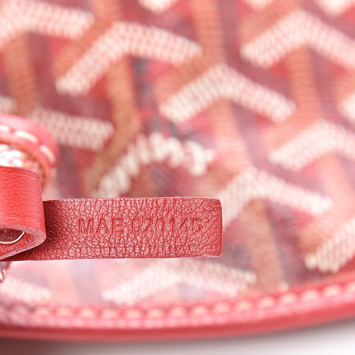Goyard Goyardine Saint Louis PM Red 7 of 12