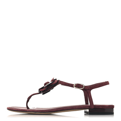 Chanel Suede Calfskin Camellia Thong Sandals 39.5 Burgundy 1 of 8