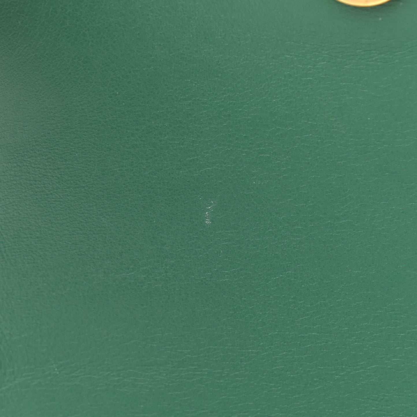 Calfskin Crocodile Embossed Small Tess Bag Woodsy Green