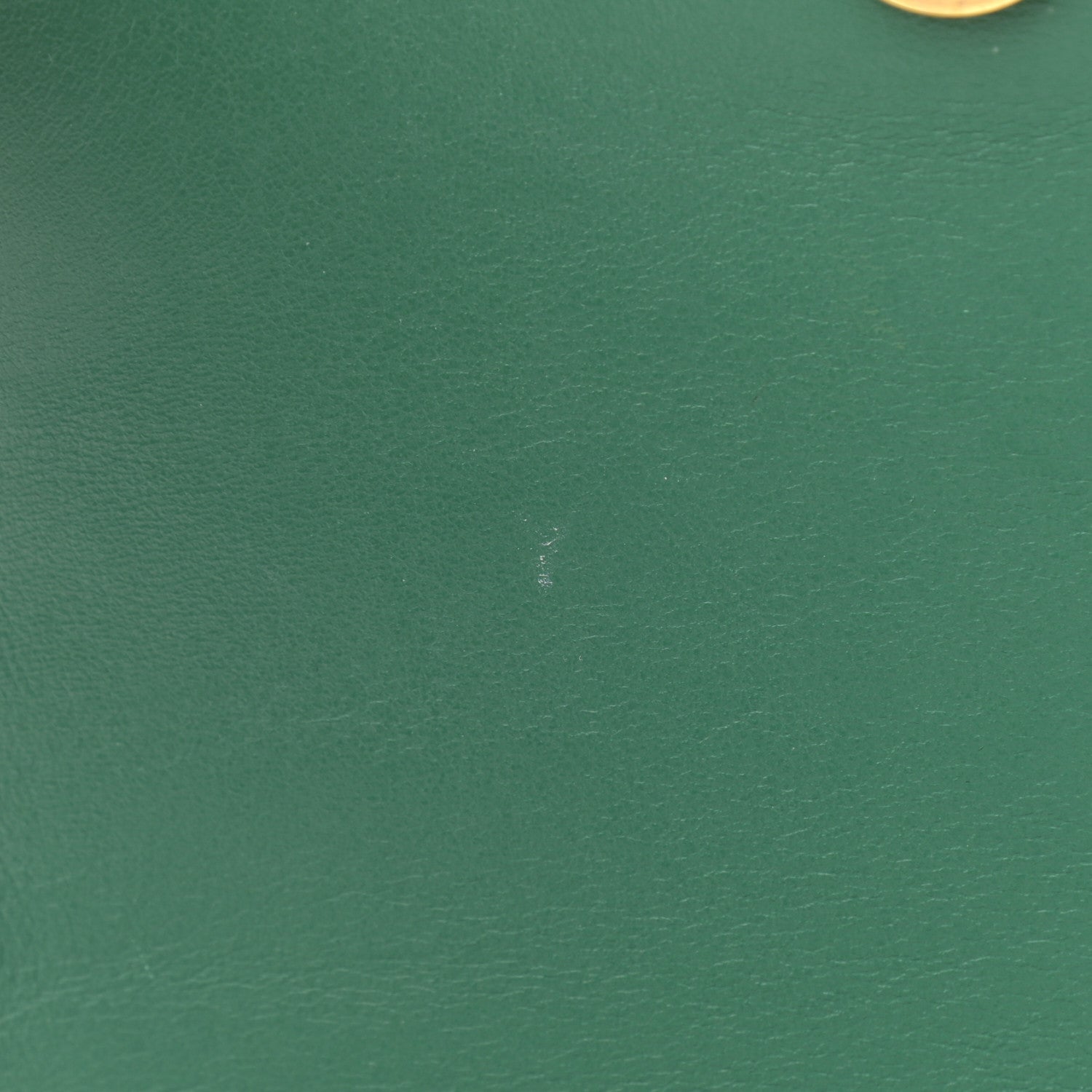 Chloe Calfskin Crocodile Embossed Small Tess Bag Woodsy Green 13 of 15