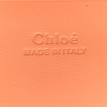 Chloe Calfskin Mini Faye Shoulder Bag Canyon Sunset 6 of 8
