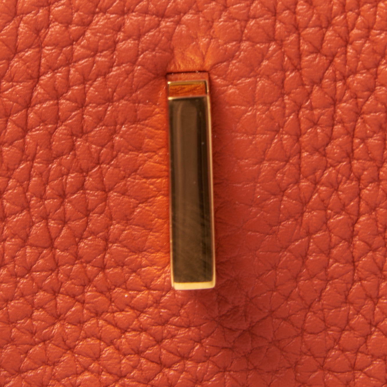 Togo Birkin 25 Terre Battue