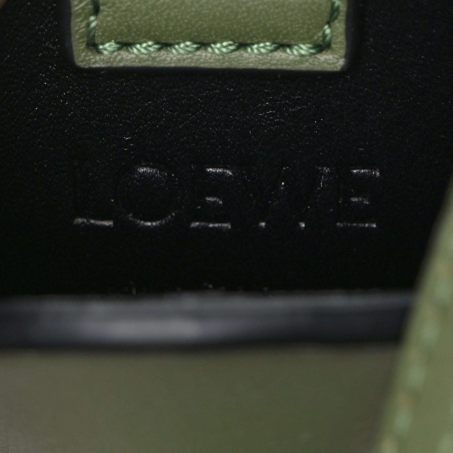 Loewe Calfskin Elephant Pouch Crossbody Bag Avocado 6 of 9