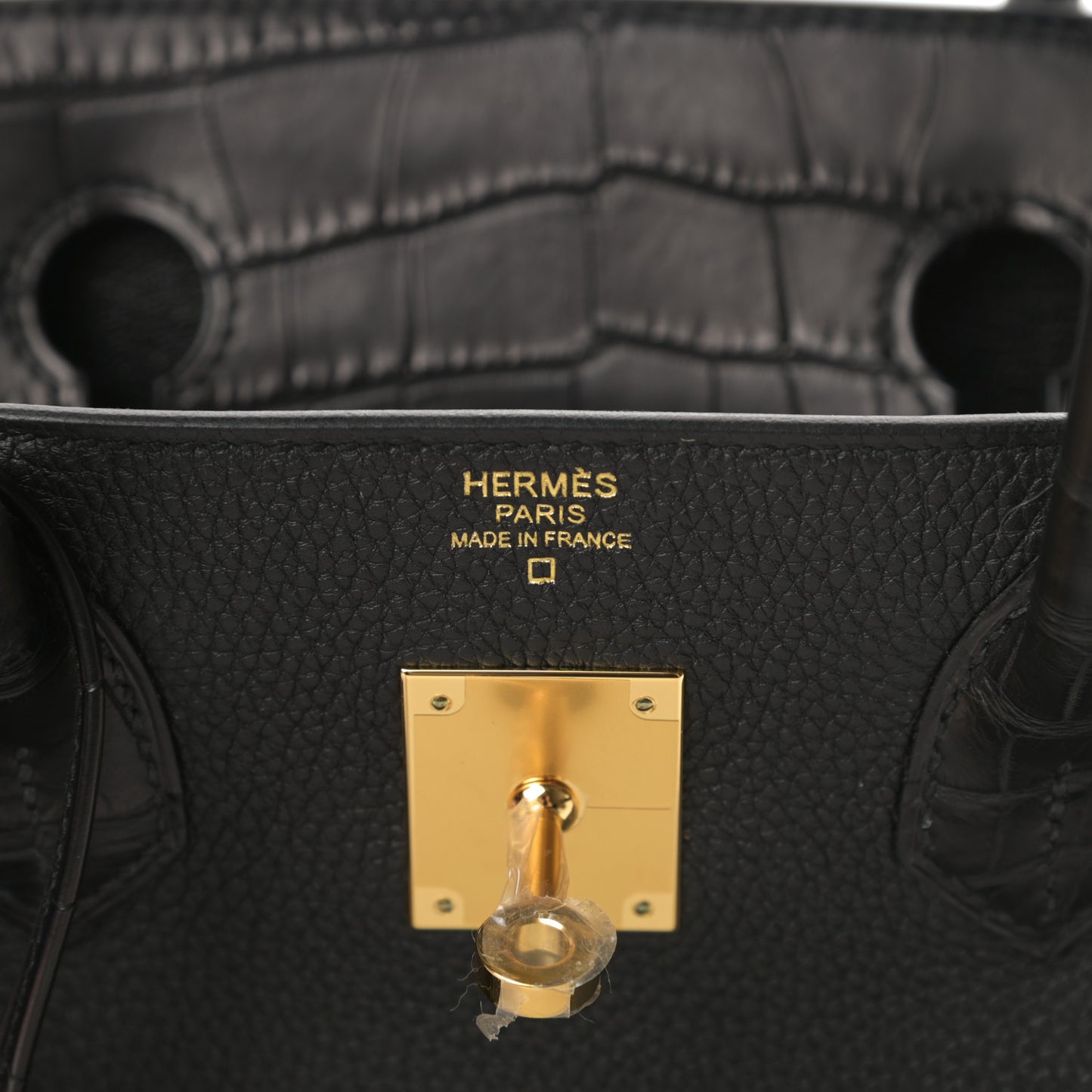 Togo Matte Alligator Birkin Touch 30 Black