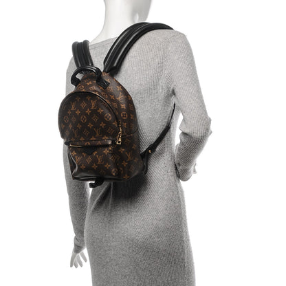 Louis Vuitton Monogram Palm Springs Backpack PM 2 of 6