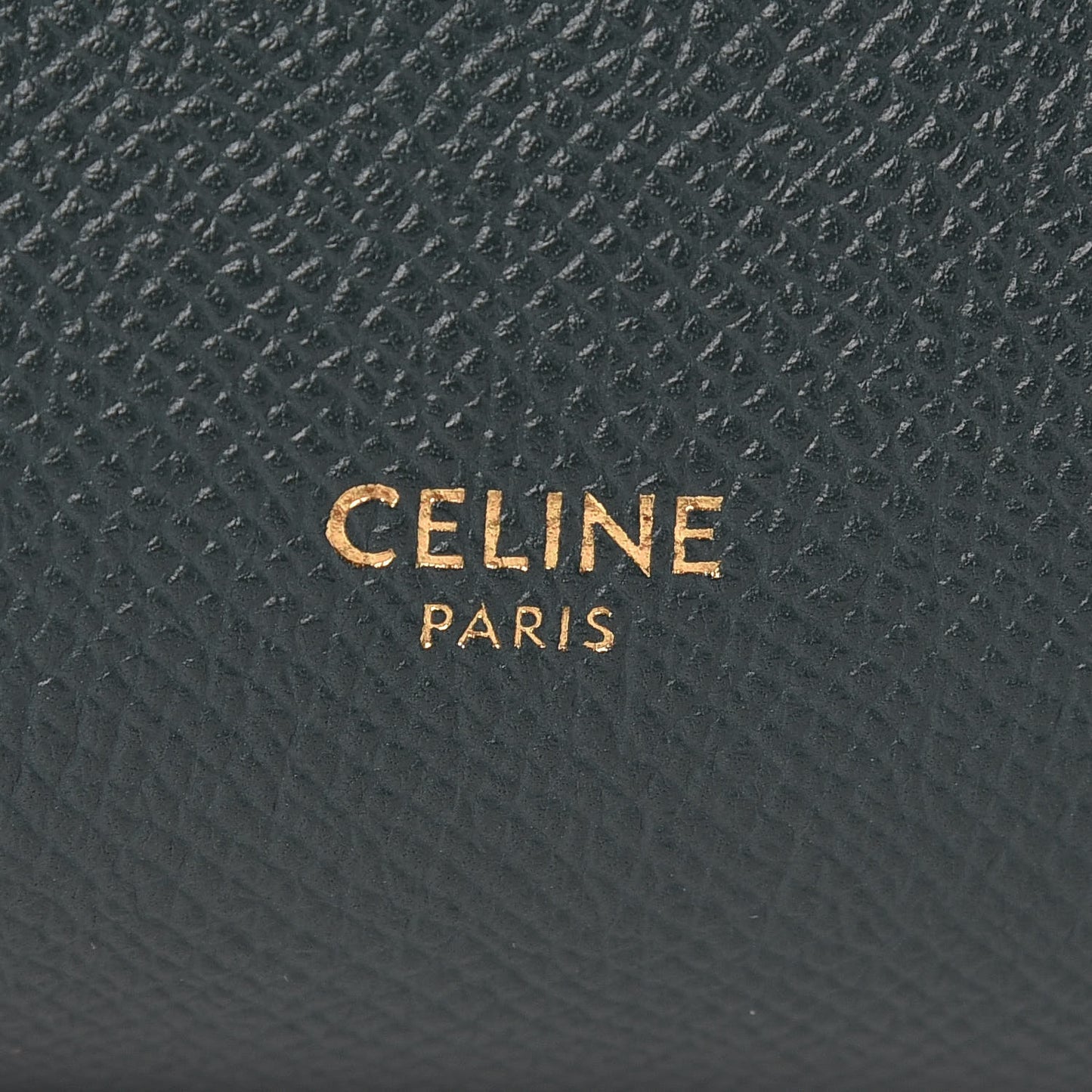 Grained Calfskin Nano Belt Bag Amazone