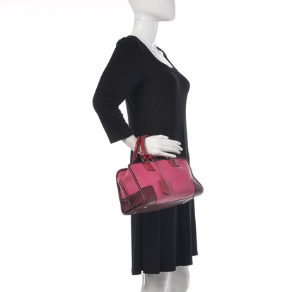 Loewe Goatskin Amazona 28 Pink 2 of 23