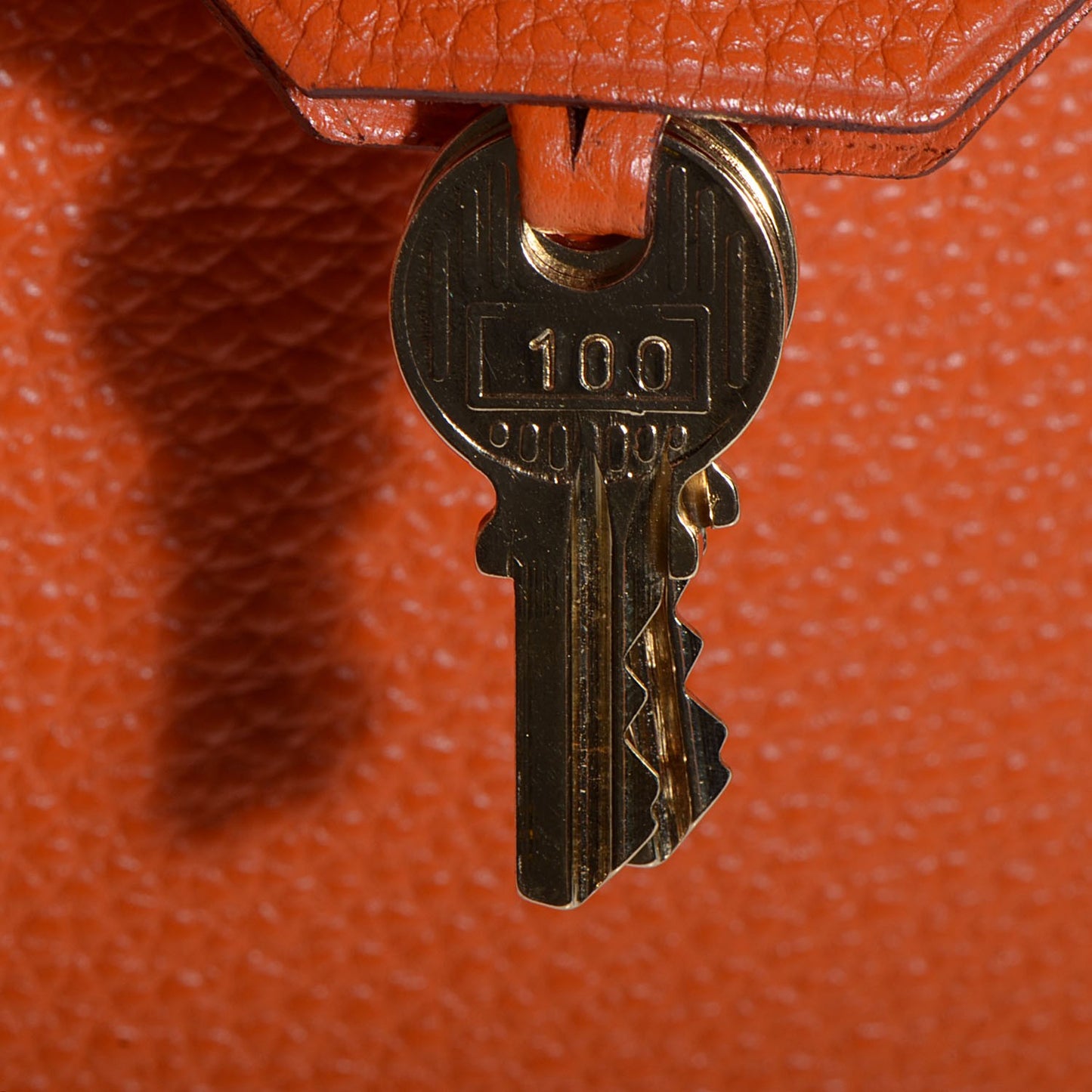 Taurillon Clemence Kelly Retourne 28 Orange