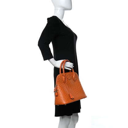 Hermes Ostrich Bolide 31 Orange 3 of 10