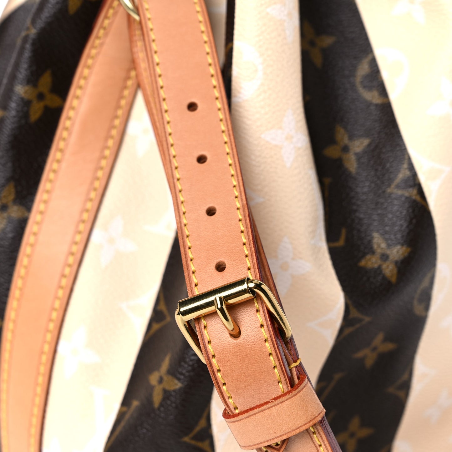 Monogram Rayures Petit Noe