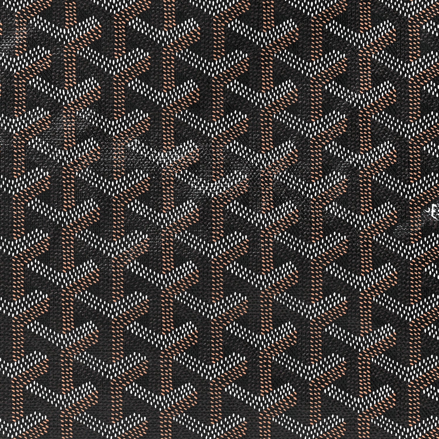 Goyard Goyardine Saint Louis PM Black 10 of 13