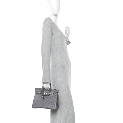Hermes Ostrich Birkin 25 Gris Agate 2 of 15