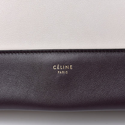 Celine Shiny Smooth Calfskin Medium Frame Shoulder Bag Velvet Desert 5 of 11