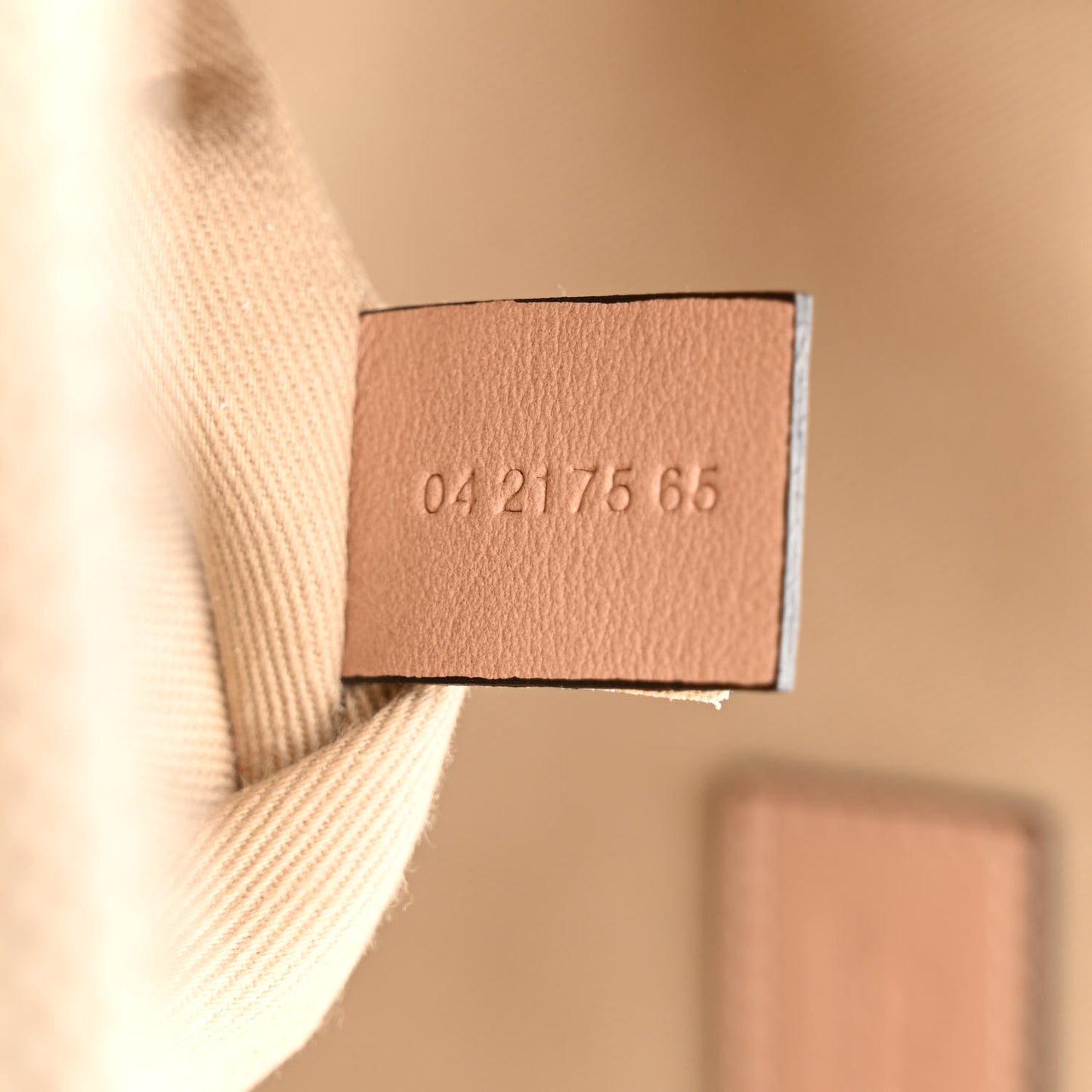 Cotton Calfskin Medium Woody Ribbon Tote Biscotti Beige