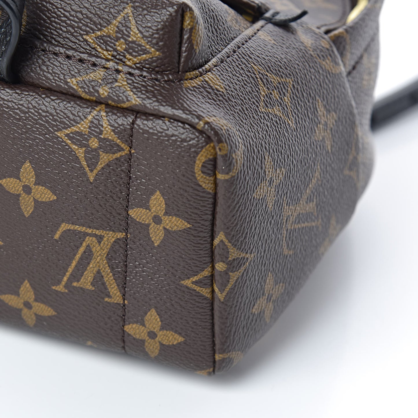 Monogram Palm Springs Backpack Mini