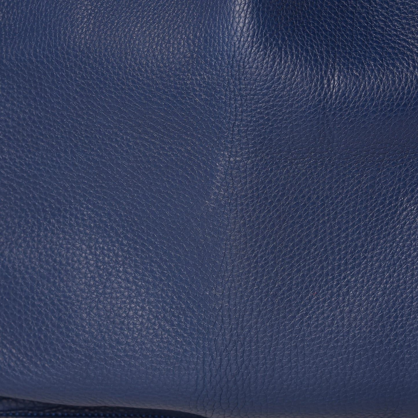 Alce Printed Calfskin Shopping Tote Blue