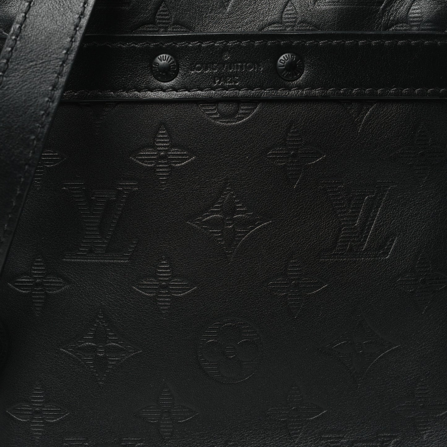 Calfskin Monogram Shadow Danube PM Black