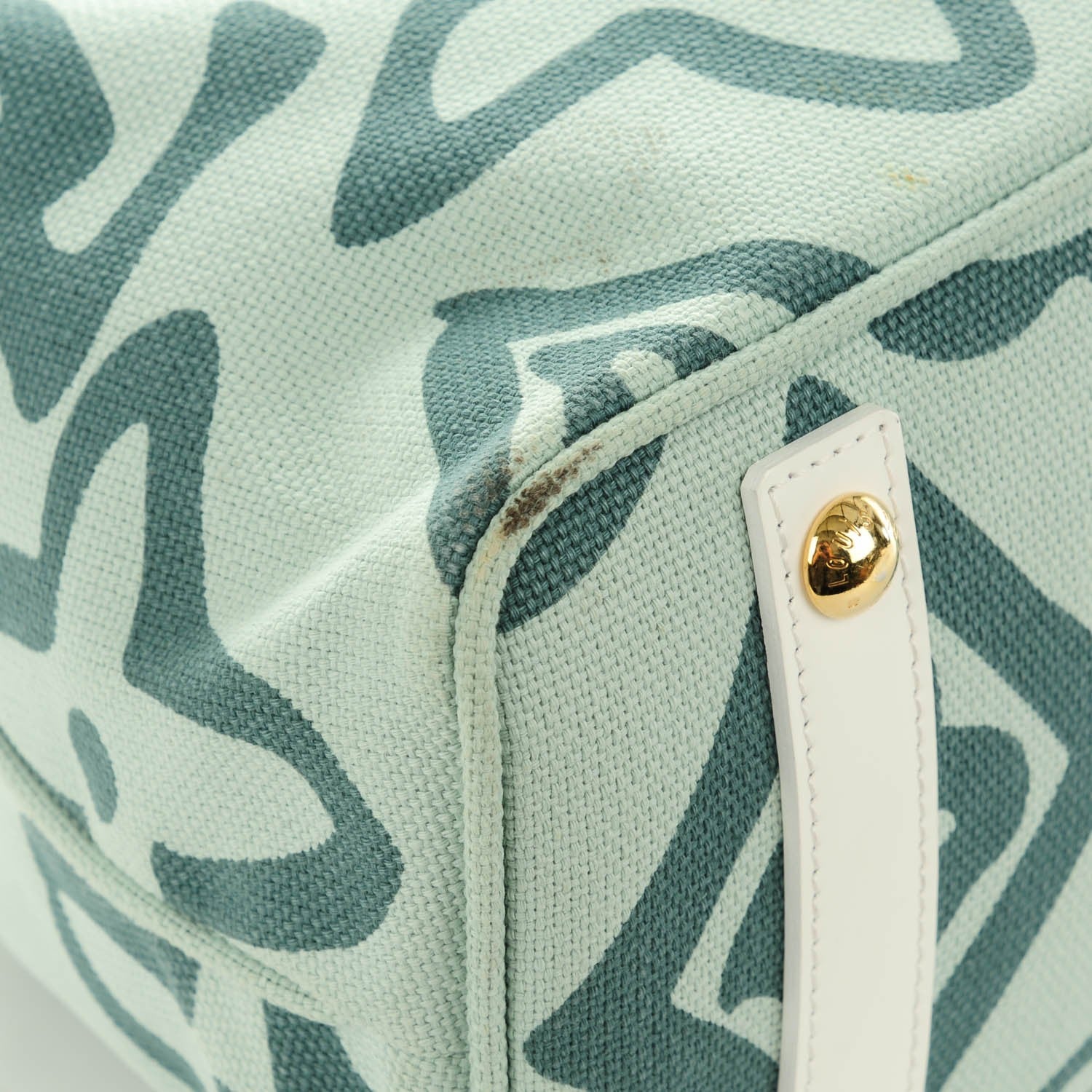 Louis Vuitton Tahitienne Cabas PM Menthe 8 of 8
