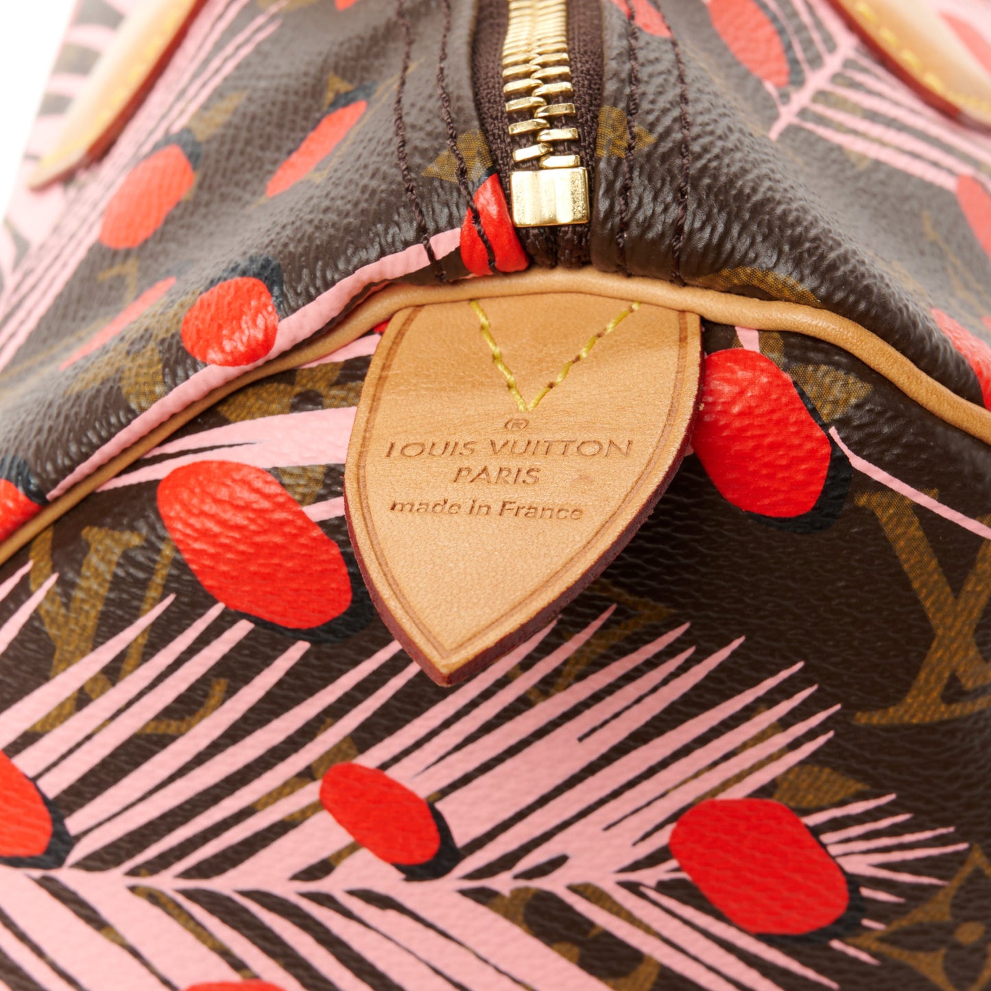 Monogram Jungle Dots Speedy 30 Sugar Pink Poppy