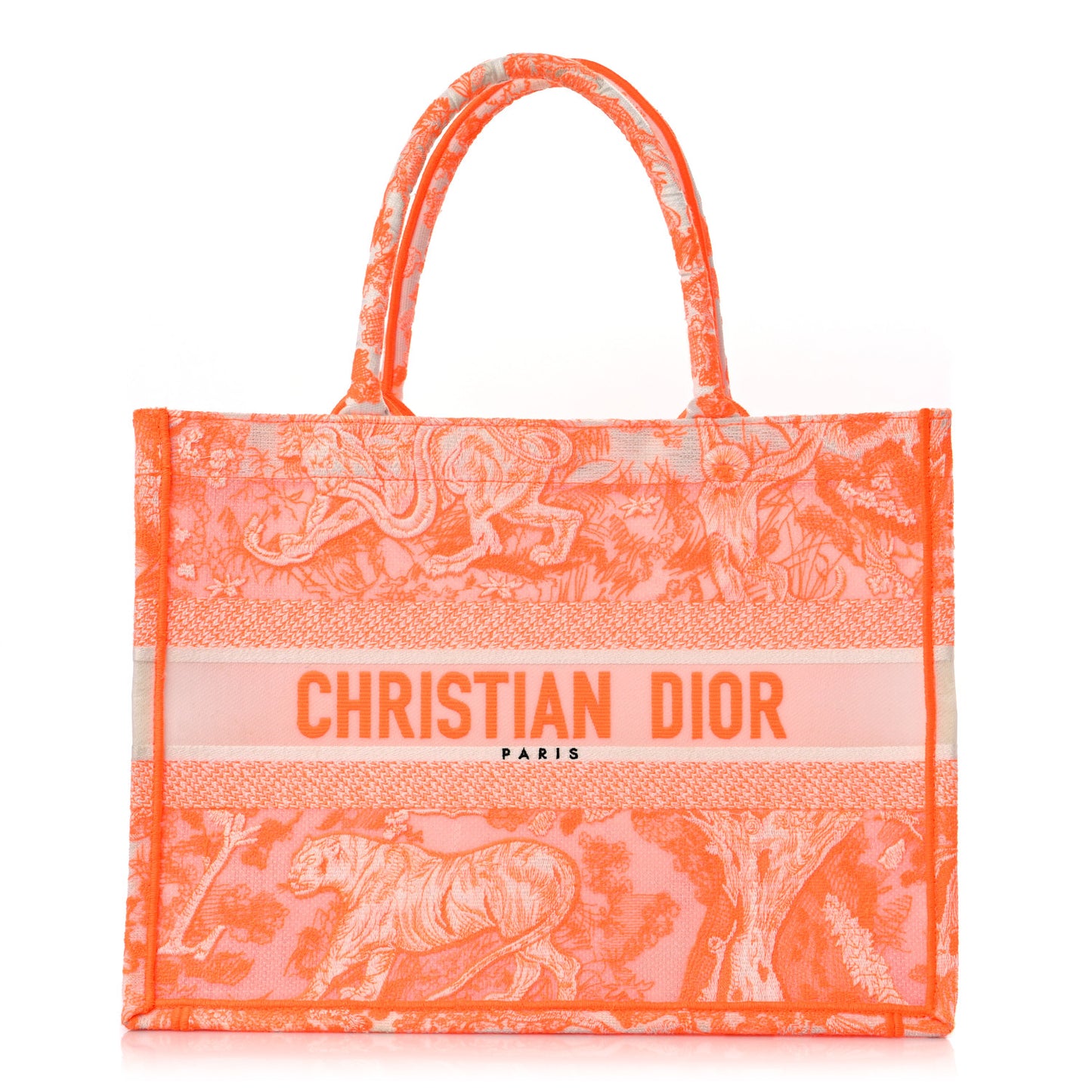 Transparent Canvas Embroidered Medium Dioriviera Toile De Jouy Book Tote