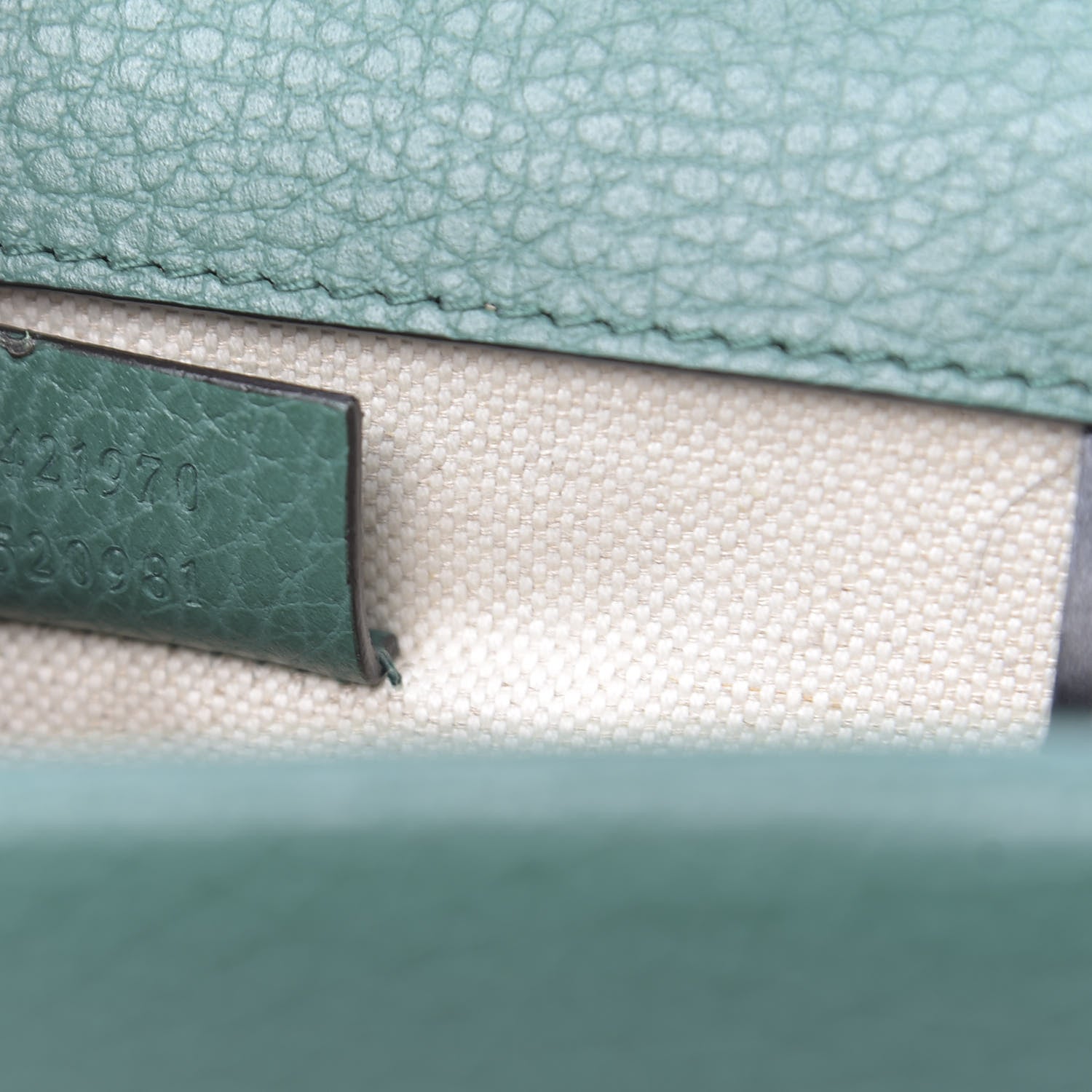 Gucci Calfskin Mini Dionysus Shoulder Bag Emerald 7 of 11