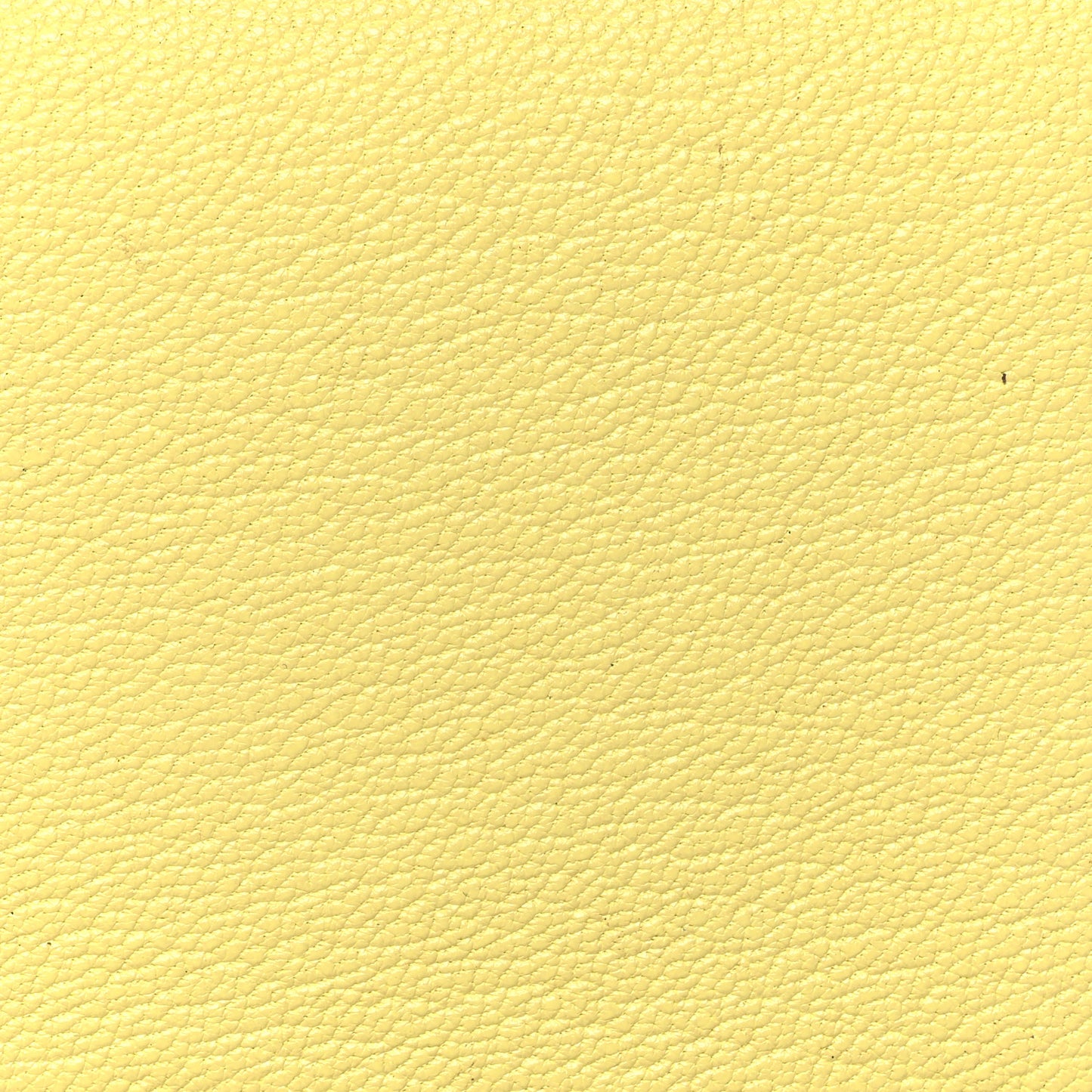 Chevre Mysore Calvi Duo Card Case Limoncello