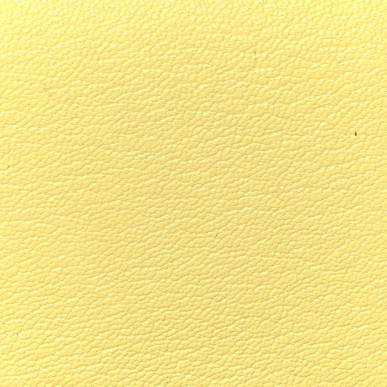 Hermes Chevre Mysore Calvi Duo Card Case Limoncello 10 of 10