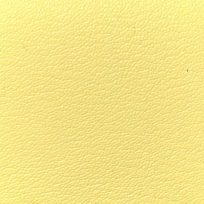 Hermes Chevre Mysore Calvi Duo Card Case Limoncello 10 of 10