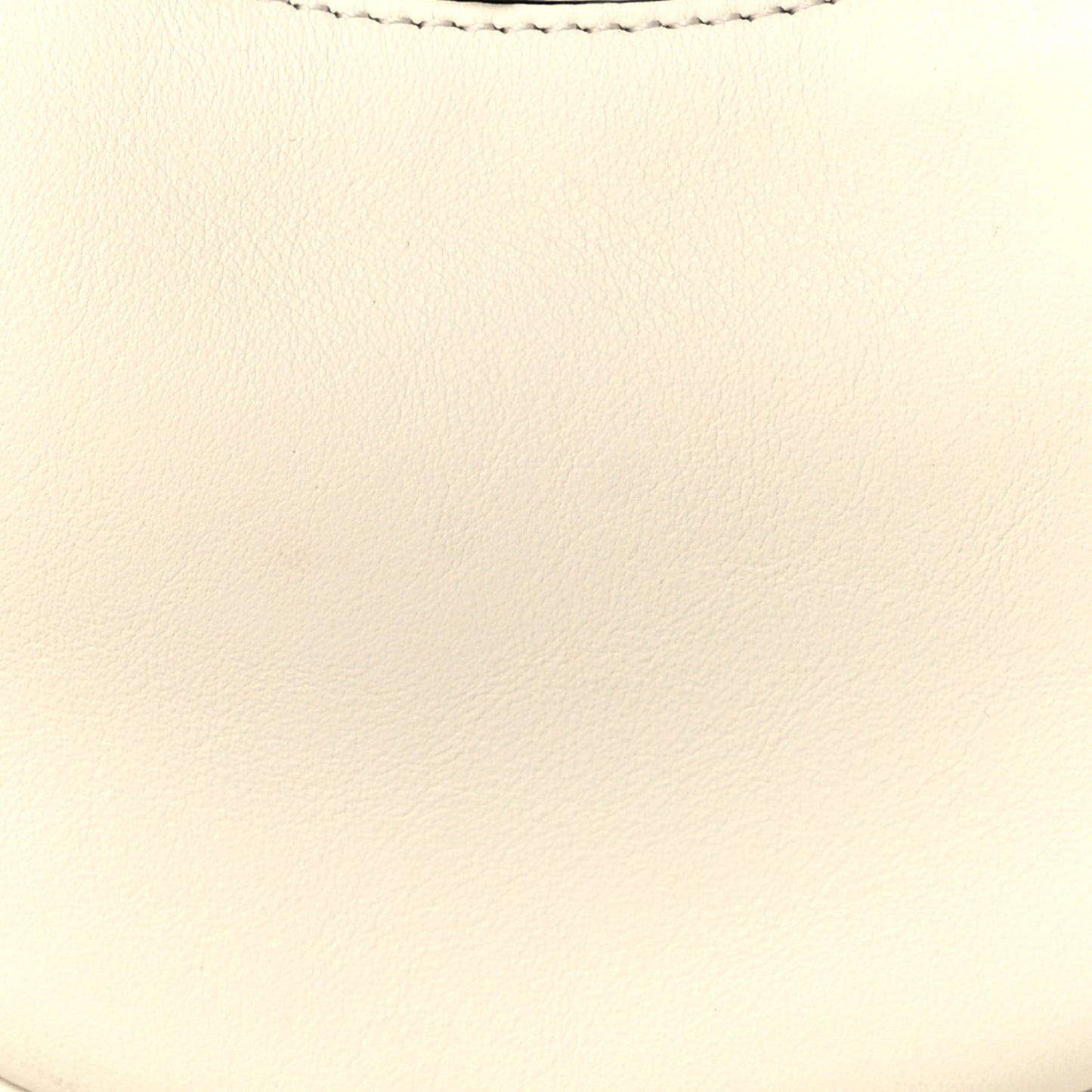Vitello Grace Matte Nano Fendigraphy Hobo Charm White Ice