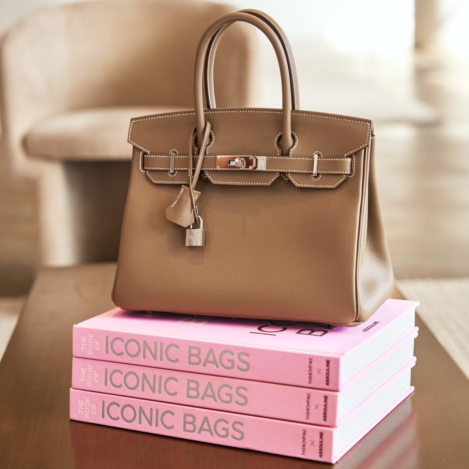 Le livre du sac : des siècles d'élégance Le livre du sac : des