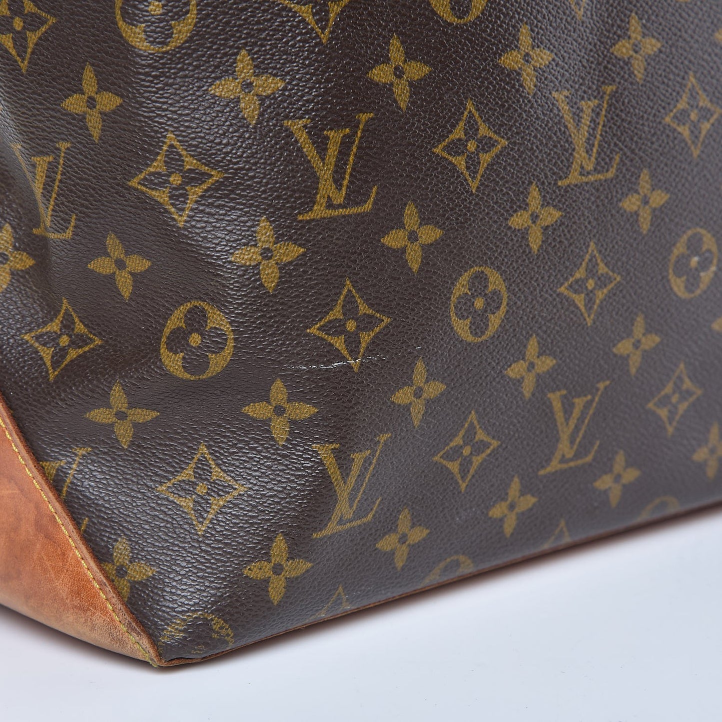 Monogram Cabas Mezzo