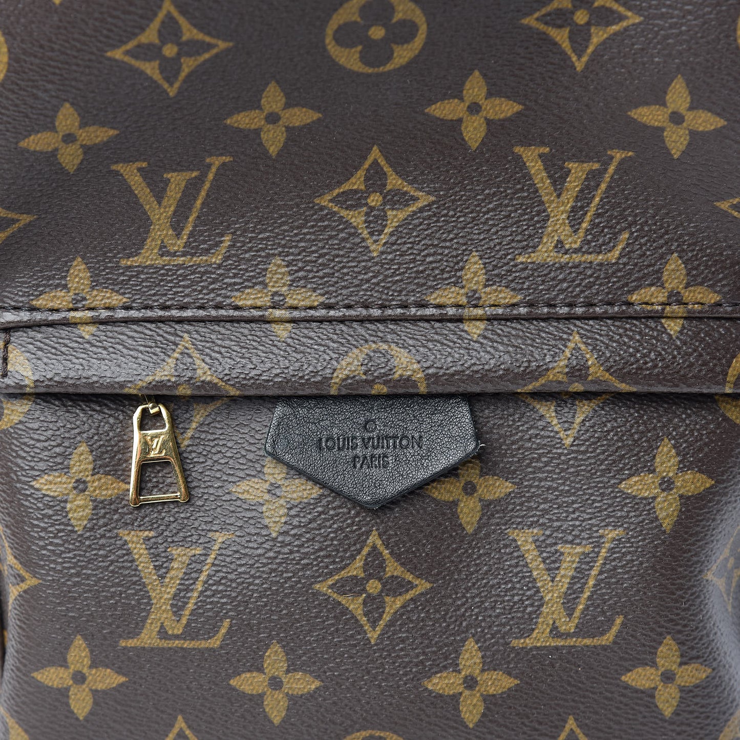 Monogram Palm Springs Backpack PM