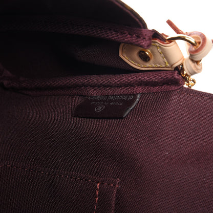 Louis Vuitton Monogram Favorite MM 8 of 9