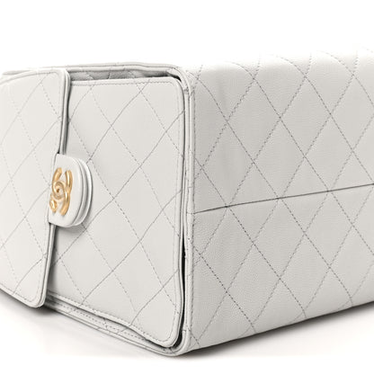 Chanel Caviar Quilted Medium Chanel 25 Handbag Light Gray 10 of 11