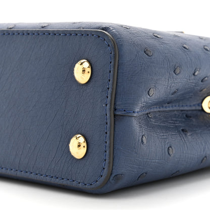 Louis Vuitton Ostrich Capucines Mini Indigo 9 of 10