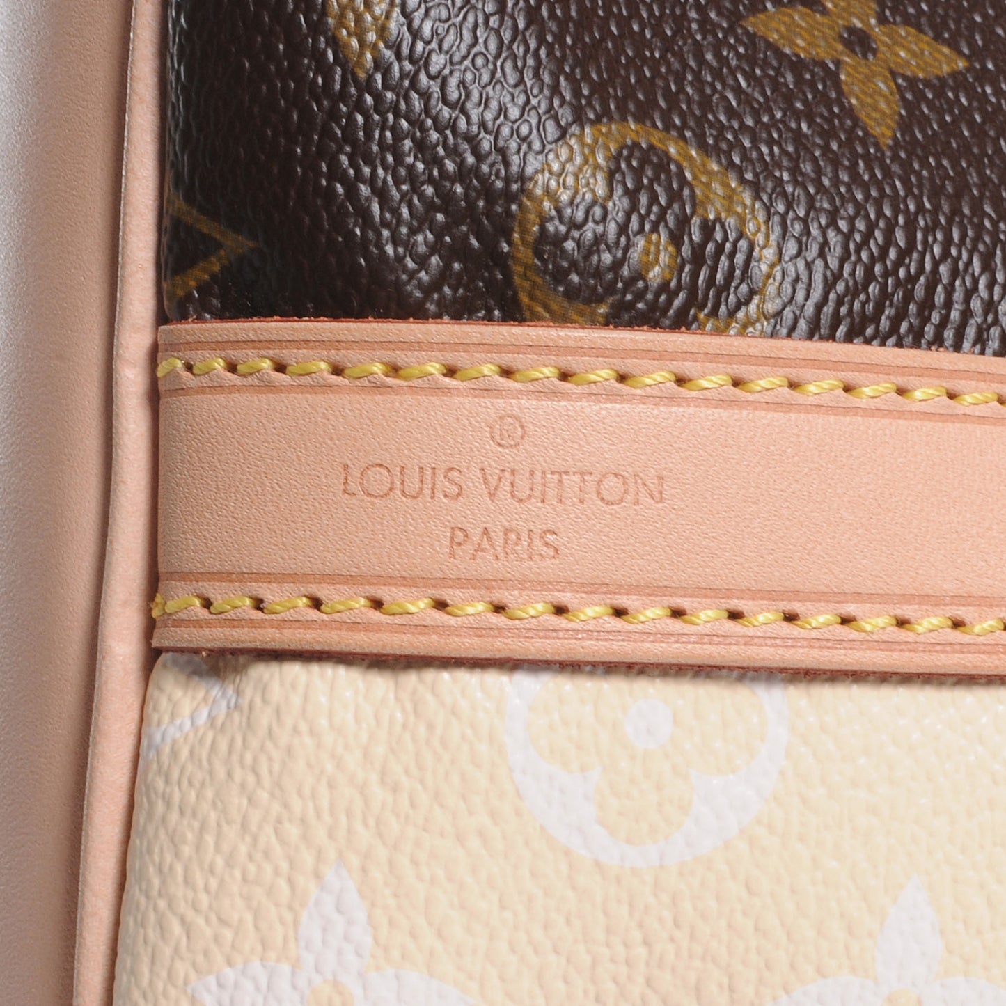 Monogram Rayures Petit Noe