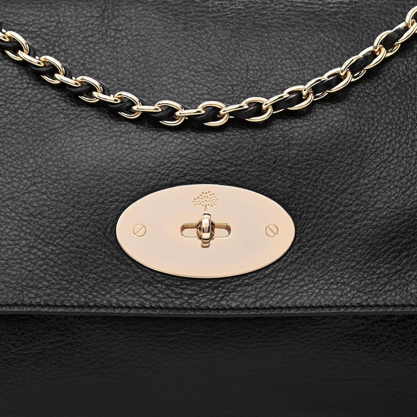Small Classic Grain Calfskin Medium Lily Black